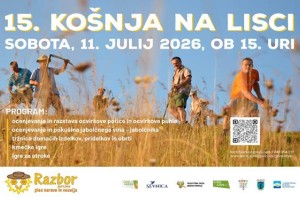 15. Košnja na Lisci