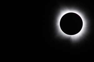 profimedia-1120738813.jpg