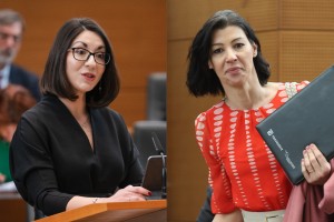 stojmenova duh svarc pipan.jpg