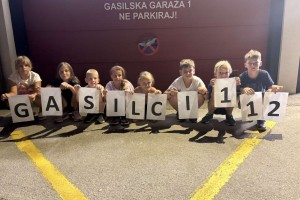 Jubilejni 20. teden mladih gasilcev PGD Vavta vas