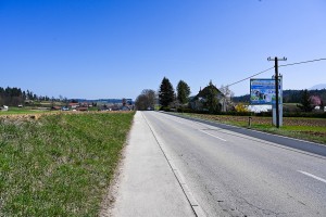 Polovična zapora Šentjernejske ceste