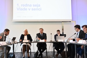 vlada v senci.jpg