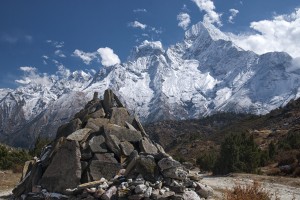 orangetigra-nepal-5282909.jpg