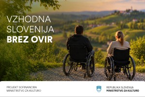 Kako dostopno je Novo mesto za osebe z gibalnimi oviranostmi?