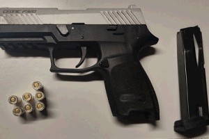 Policisti zaradi streljanja posredovali v Brezju