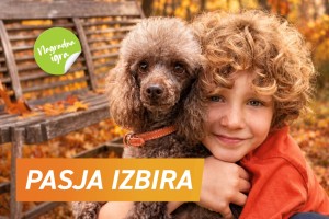 Z željo vašega kosmatinca do 500 € v Mr. Petu