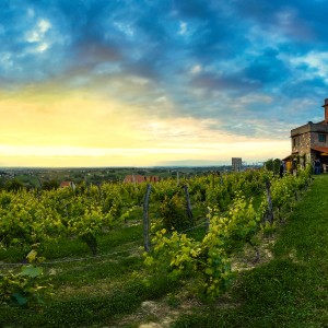 Pogled s Daruvarske vinske ceste – Vezmarova kula (D. Bakarić)