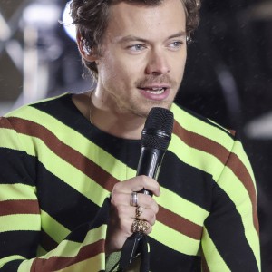 Harry Styles - Harry Styles se je lotil nove linije seksualnih pripomočkov