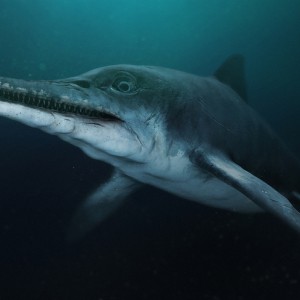 fosilna-uganka-iz-globin-casa-kdo-je-bil-morski-zmaj, ki-je-vladal-oceanom-pred-dinozavri