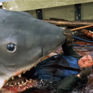 Žrelo, Jaws - 1