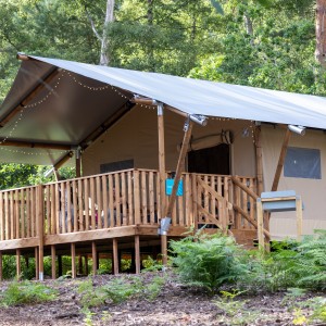  Kralj Karel je na posestvu Sandringham odprl glamping vasico