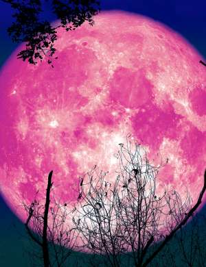 aprilska roza luna