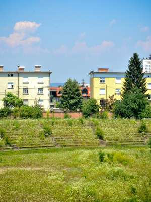 plečnikov-stadion, fondovi-bloki