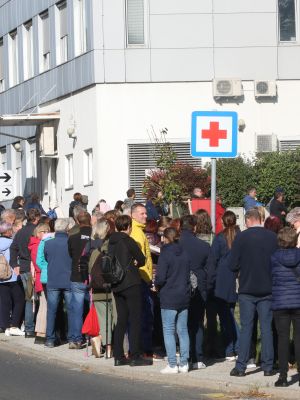 zd slovenska bistrica, zdravnica, vrsta