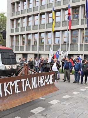 946503_180-kmecki2