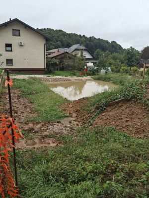 boris-mijic