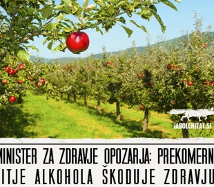 Cider: nepogrešljiva družba na osvežilni zabavi