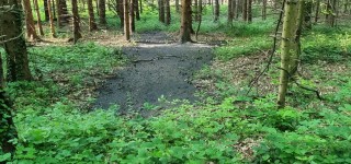 hoče-slivnica, pivola, onesnaženje