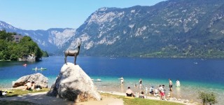 706956_175-bohinj