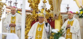 peter-stumpf, skofija-koper