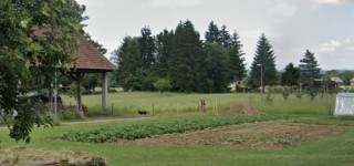 tomaz-kraskovic