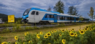 ZEN26-2512_Celje_mk_X.jpg
