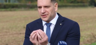 zoran-stevanovic