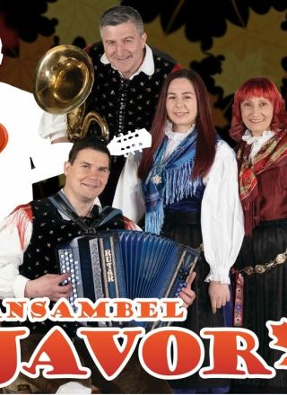 Ansambel Javor išče novega kitarista!