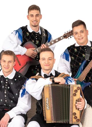 Vino in harmonika ansambla Dolenjska vigred