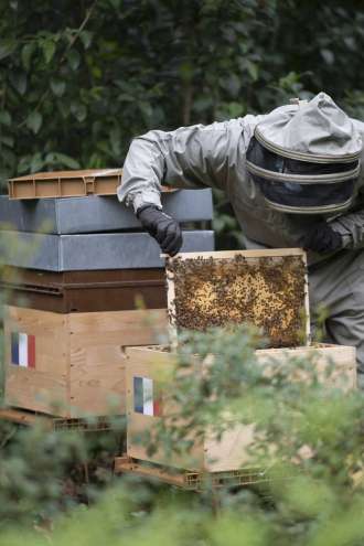 Na čebelarskih razpisih so sredstva še na voljo