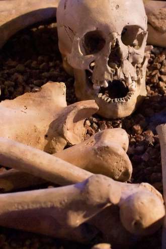 Na divjem odlagališču v Karlovcu našli človeške kosti