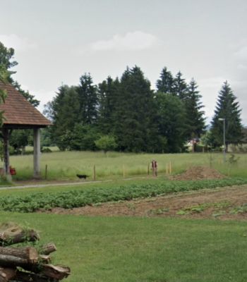 tomaz-kraskovic
