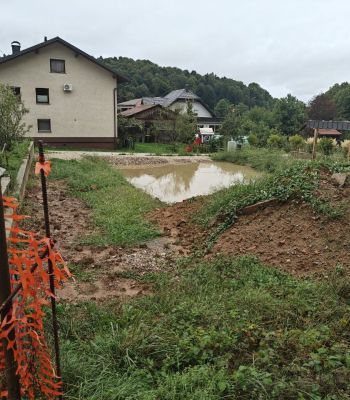 boris-mijic
