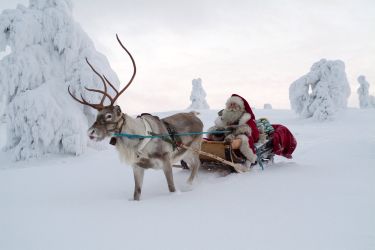 Kako smo zaradi Božička starodavne navade utopili v potrošništvu
