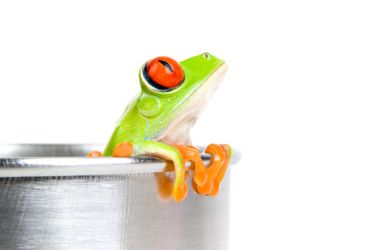 U. Vehovar: Slovenija je kot žaba, ki se kuha v loncu vroče vode