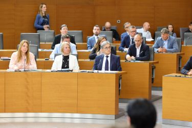 Novinci v DZ: poslanske device, ki bodo ustoličile Janšo