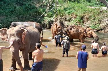 mnozicni turizem Zavetišče za slone 2