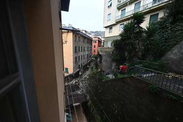 genova