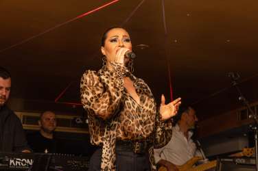 ceca raznatovic