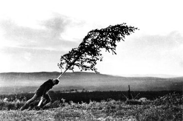 Ko vera trči ob nepopravljivo izgubo. Prizor, ki ne ponuja tolažbe, temveč vprašanja, ki ostanejo z gledalcem dolgo po koncu filma