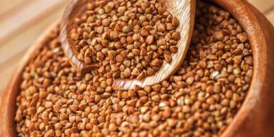 Ajda ne vsebuje glutena in ima kar 150 odstotkov več koristnih mineralov in vitaminov kot pšenica.
