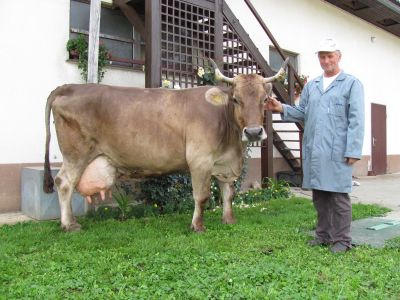 Janez in Lepna