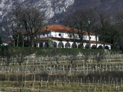Festival že tradicionalno gosti Zemono.