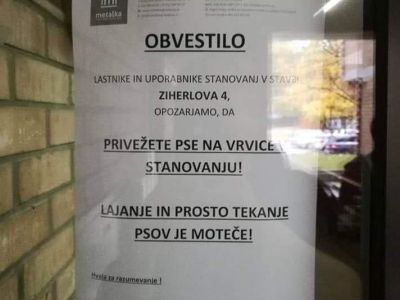 slika.jpg