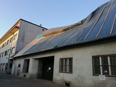 vodnikova2.jpg