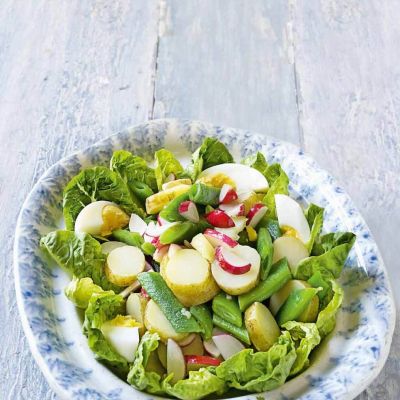 Dressed allotment saladP61-65