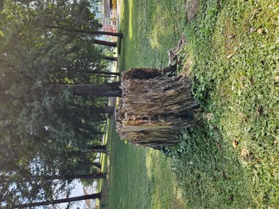 _grajski_park__1_.jpg