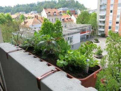 Urbani naslovna-apr22.JPG