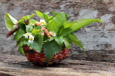 Lekarna naslovna-maj25.jpg