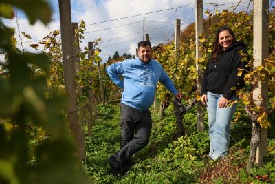 martina-strnisa, radojko-pelengic, bela-gora, vinogradnistvo, vinarstvo, sentjur, dramlje, vino